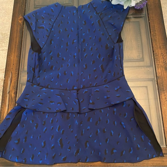 Proenza Schouler Silk Deep V Neck Blouse - Picture 14 of 16